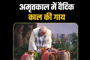 punganur-cow-vedic-era